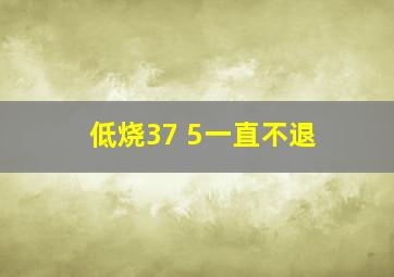 低烧37 5一直不退